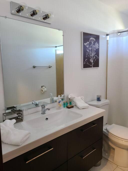 Henry's Place, 3 Bedrooms In Lakeview Apartment
